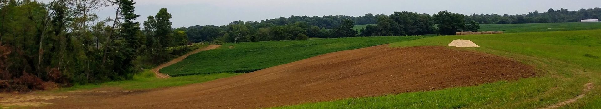 field